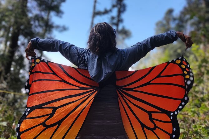 Monarch Butterfly Reserve: Piedra Herrada Magical Valle de Bravo - Piedra Herrada: expect a real mountain hike