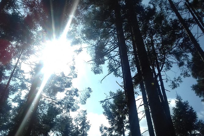 Monarch Butterfly Sanctuary Day Trip from Mexico City - Is $79 a fair price?