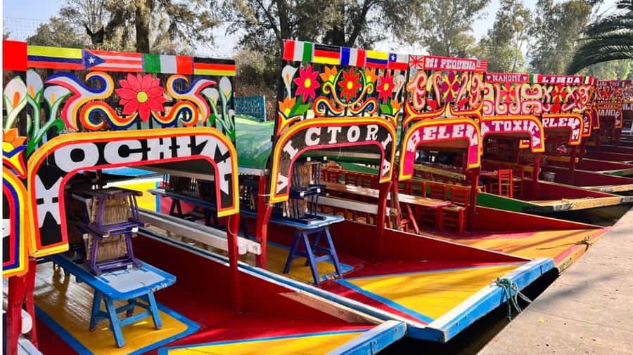 Music and Tequila in Xochimilco visits Coyoacán and CU - Three sides of Mexico City in six hours