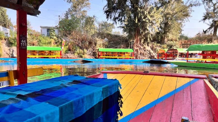 Music and Tequila in Xochimilco visits Coyoacán and CU - Ciudad Universitaria and the UNAM murals