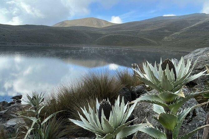 Nevado de Toluca Tour from Mexico City - Two Hours Through to Nevado de Toluca