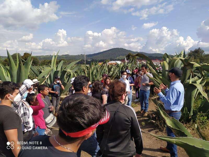 One day tour from Mexico City to Firefly Sanctuary - Leaving Mexico City from Ezequiel Montes 100