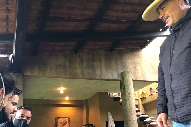 Pátzcuaro & Michoacán Villages : 3 - Day Private Cultural Tour - Tzintzuntzan and the old Purépecha center