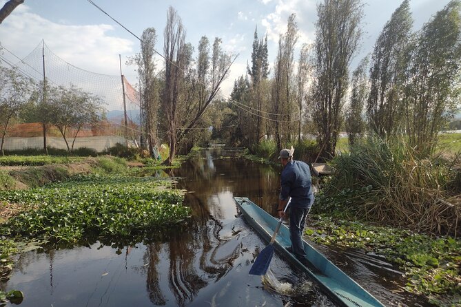 Pre-Hispanic Xochimilco, local food included and ajolotario. - Cuahilama and the Xochimilca carvings