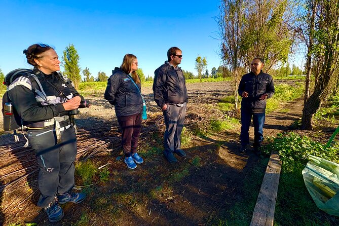 Prehispanic Xochimilco: Market, chinampas, axolotls kids friendly - Seeing how chinampas still grow food