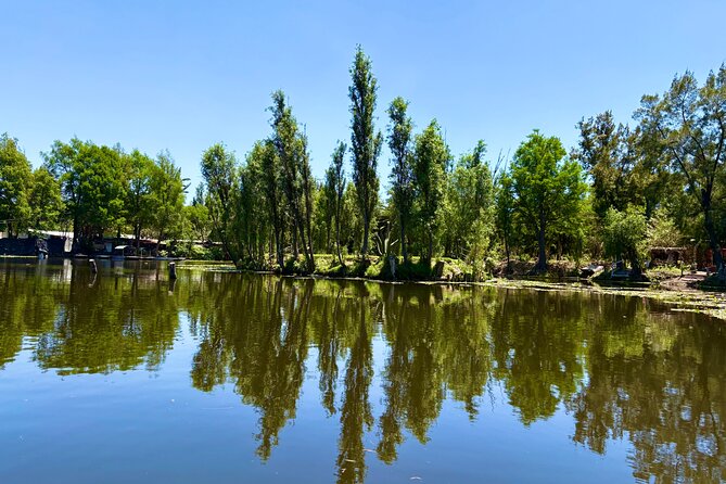 Prehispanic Xochimilco: Market, chinampas, axolotls kids friendly - Who will enjoy this four-hour outing