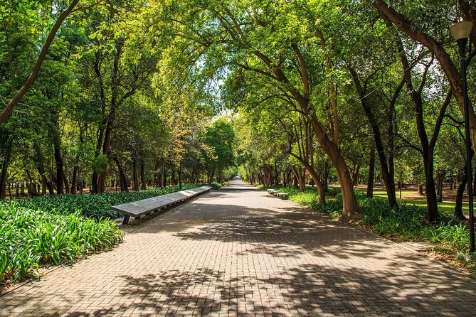 Private Chapultepec Park by Bike Guided Tour - Archaeological remains in the forest
