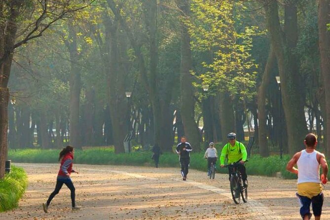 Private Chapultepec Park by Bike Guided Tour - Sculptures, poets, and Moctezuma’s waterworks