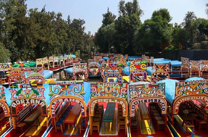 Private/Shared Tour Xochimilco Coyoacán optional Frida Kahlo - Xochimilco’s colorful canals set the tone