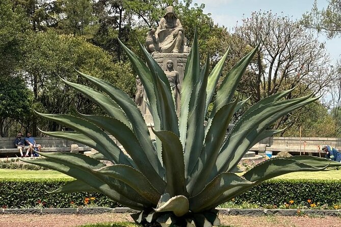 Private Tour in the Historic Center of CDMX and Chapultepec - The climb to Chapultepec Castle