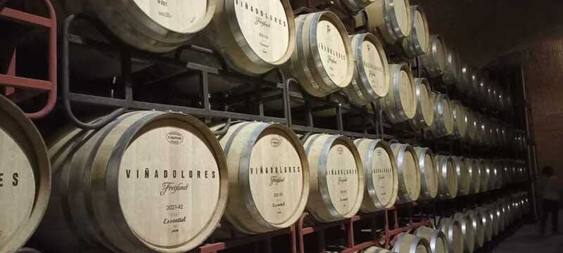 Private tour to Peña de Bernal & Freixenet Winery from CDMX - Key points at a glance