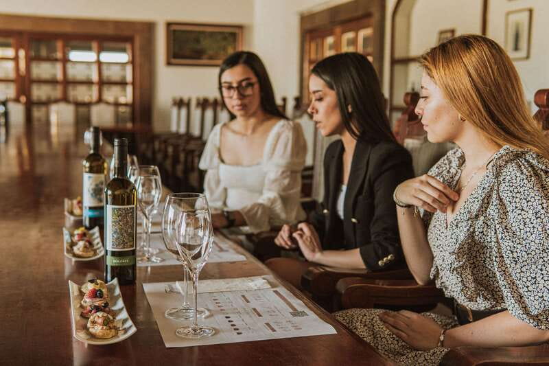 Private tour to Peña de Bernal & Freixenet Winery from CDMX - Freixenet’s 25-meter cellar is the day’s main event