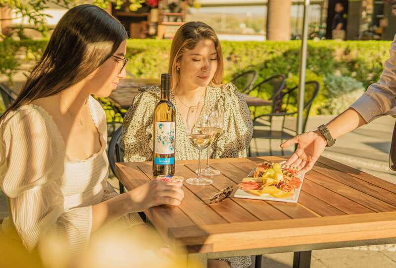 Private tour to Peña de Bernal & Freixenet Winery from CDMX - What the experience does especially well