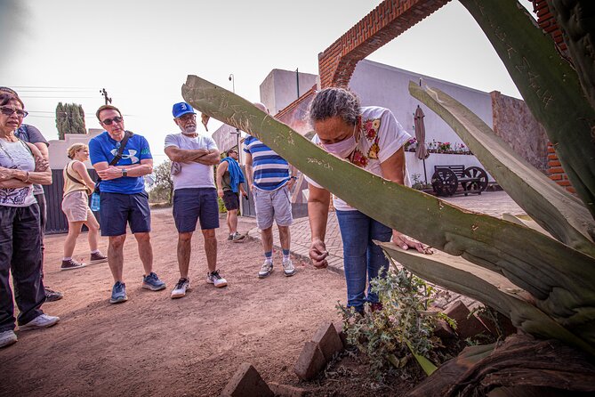 Private Tour to Teotihuacán and the Basilica of Guadalupe - How private guiding changes the day