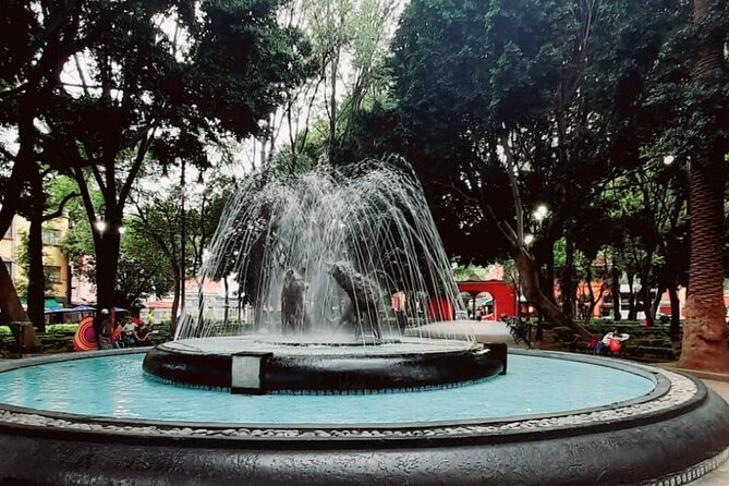 Private Tour to Xochimilco, Coyoacan and the World of Frida Kahlo - Who Should Book This Tour?