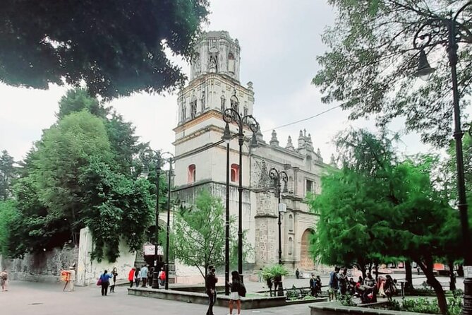 Private Tour to Xochimilco, Coyoacan and the World of Frida Kahlo - Should You Book It?
