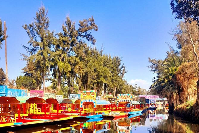 Private Tour to Xochimilco, Coyoacan and the World of Frida Kahlo - Coyoacán’s Streets, Convent, and Market Food