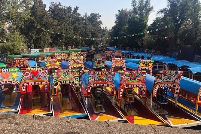 Private Tour: Xochimilco, Coyoacan and Frida Kahlo Museum - A full day of southern Mexico City