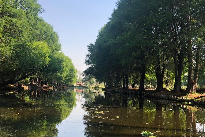 Private Tour: Xochimilco, Coyoacan and Frida Kahlo Museum - Anahuacalli and Rivera’s pre-Hispanic collection