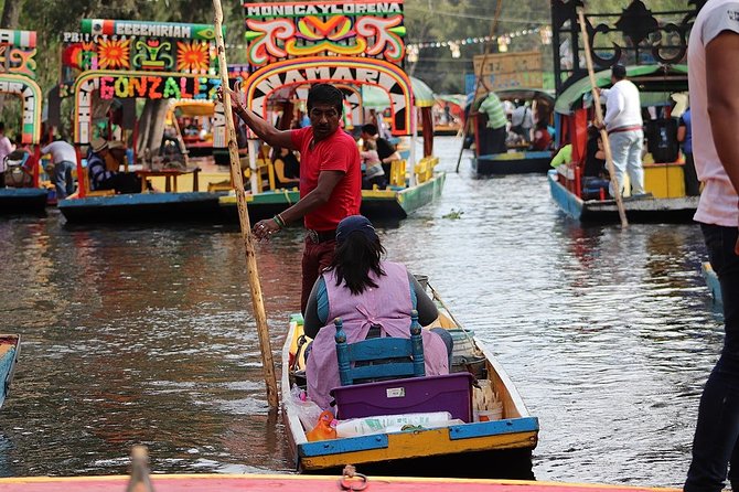 Private Tour: Xochimilco Coyoacan and Frida Kahlo's Museum and house - Why the private guide and vehicle matter