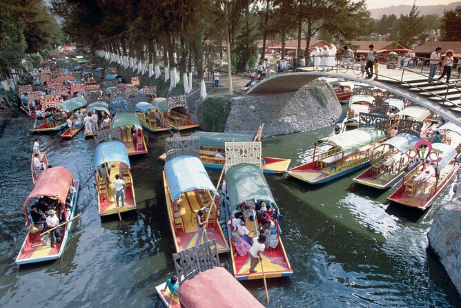 Private Tour: Xochimilco Coyoacan and Frida Kahlo's Museum and house - UNAM and the Central Library’s mosaic wall