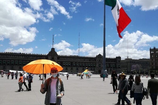 Private Tour Zocalo and Basilica of Guadalupe. With driver and guide - Bellas Artes and the Marble Facade