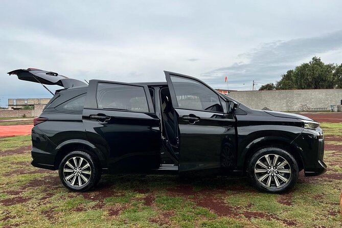 Private Transportation to Teotihuacan from CDMX - The drivers make the biggest difference