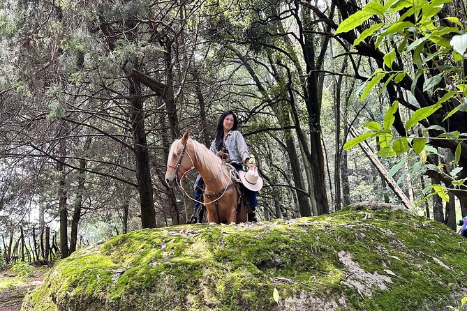 Ride Horses, Learn to Cook with Locals in Mexico City - Value, group size, and what is included