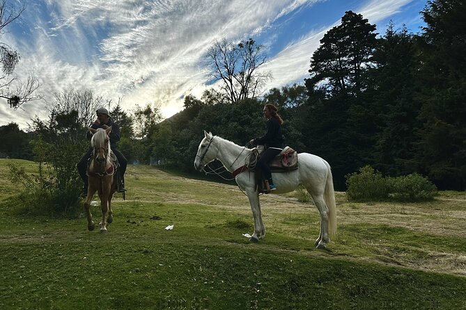 Ride Horses, Learn to Cook with Locals in Mexico City - Who should book this day
