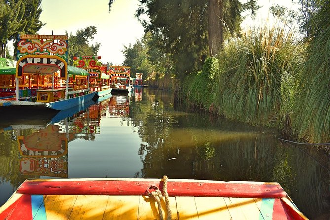 Small Group: Discover Xochimilco, Coyoacán, Frida Kahlo Museum and House - Is the $107.47 price good value?