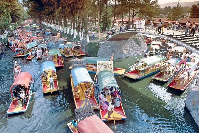 Small Group: Discover Xochimilco, Coyoacán, Frida Kahlo Museum and House - Starting at UNAM’s murals and campus