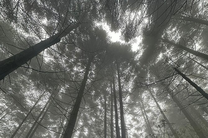 Sunrise in Las Alturas Hiking in El Pico del Aguila Tlalpan - Who should book this sunrise hike?