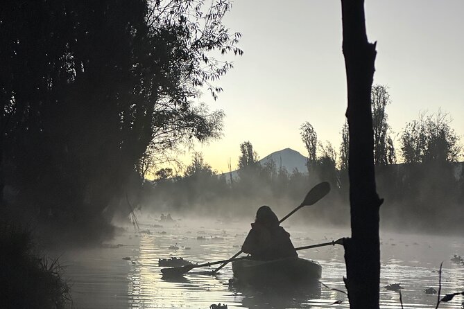 Sunrise Kayak Tour in Xochimilco - Price, group size, and overall value
