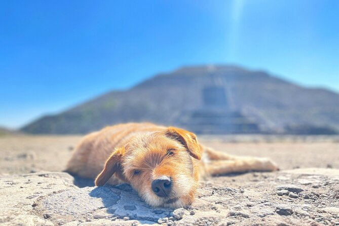 Teotihuacan and My Grandma's Food Tour - Why the iPad visuals matter