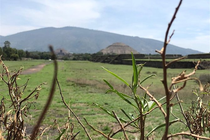 Teotihuacan & Basilica of Guadalupe - Private Tour - Who will get the most from this tour