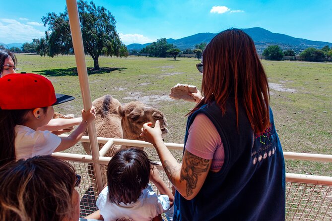 Teotihuacán for kids - Who should book this family day