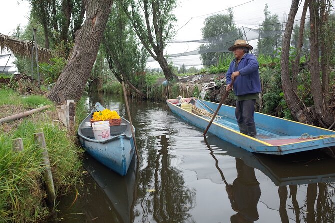 The City Green Exploring the Urban Eco Reserve of Xochimilco - Why Xochimilco deserves more than a party boat