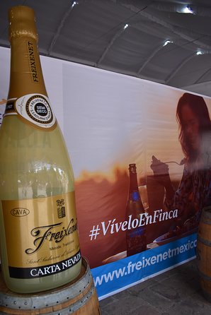 The Magical Town of Tepotzotlán & Artisanal wine from Mexico City - Practical details that affect your day
