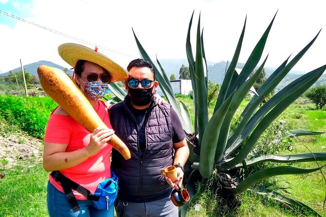 Tour de Pulque en Tepotzotlán, Pueblo Mágico - Key points to know before booking
