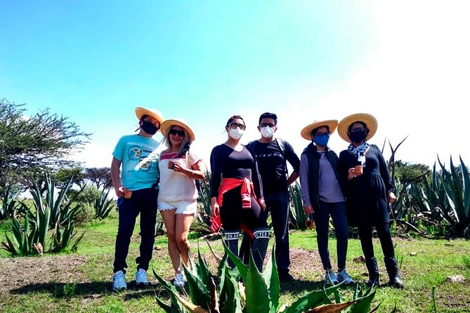 Tour de Pulque en Tepotzotlán, Pueblo Mágico - Why pulque makes Tepotzotlán worth the trip