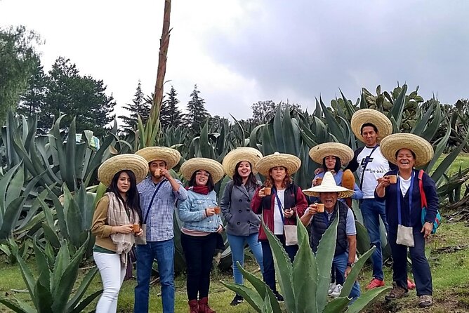 Tour de Pulque en Tepotzotlán, Pueblo Mágico - The value of lunch, transport, and a personal guide