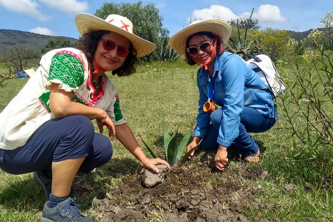 Tour de Pulque en Tepotzotlán, Pueblo Mágico - Possible drawbacks to consider