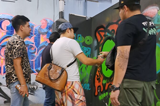 Tour Evolution of Muralism paints your Grafiti - Is $71.36 a fair price?