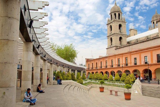 Tour of the Nevado and City of Toluca - The two-hour Nevado de Toluca walk