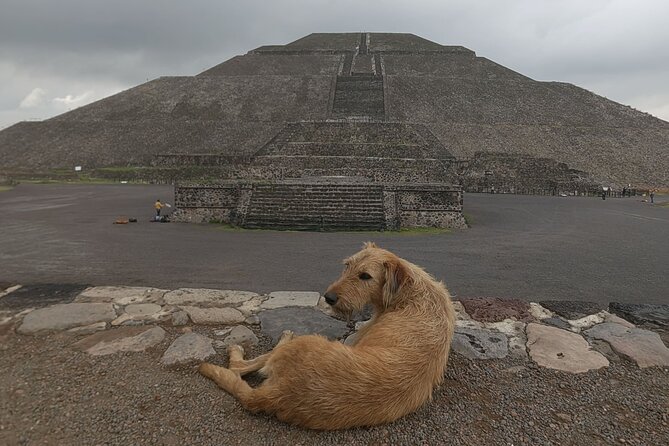 Tour to Teotihuacan from CDMX with entrances included - Why this Teotihuacan tour feels different