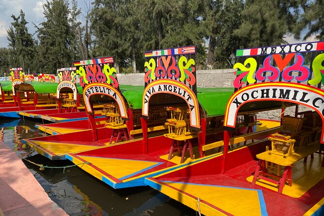 Trajinera Party at Xochimilco with Drinks, Mariachi & Snacks - Who will enjoy this Xochimilco outing?