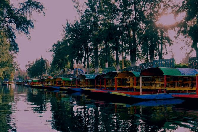 Trajinera Party at Xochimilco with Drinks, Mariachi & Snacks - Practical details before you book