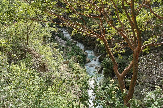 Travel to Tolantongo: Transportation and tickets - The warm river below the cave