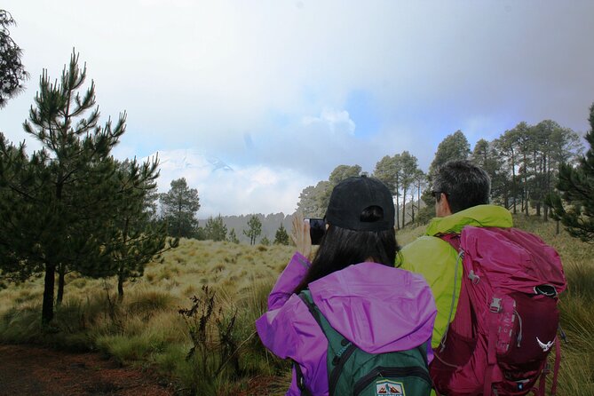 Trekking Through The Volcanoes - Paso de Cortés and the first forest miles