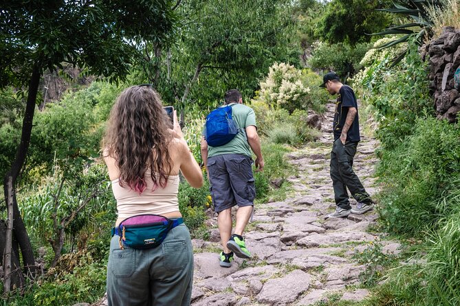 Unique cablecar experience, pulque tasting &unbeatable views - Indios Verdes to Cuautepec by cable car
